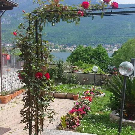 Le Rose Sul Pescate
