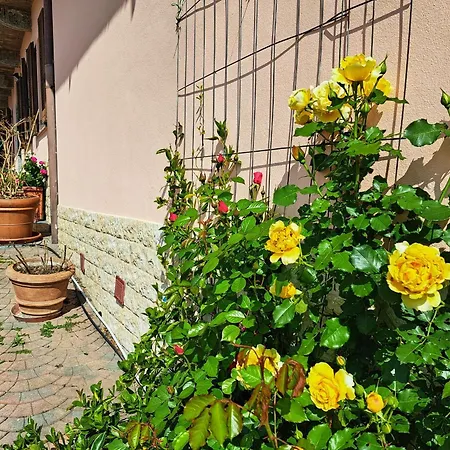 Apartment Le Rose Sul Pescate