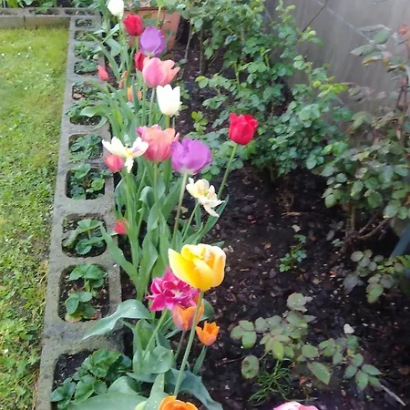 Le Rose Sul アパート